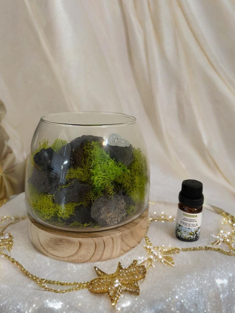 DIY Lava Rock Stone Diffuser With Air Plant | Moss | Essential Oil ...