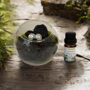 Difusor de pedra vulcânica faça você mesmo, difusor de óleos essenciais, difusor natural, aromaterapia, difusor de pedra natural, presente exclusivo para ela, embalagem para presente