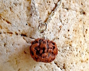 Single Rudraksha Charm on a Silver Chain - Connect to Spirit