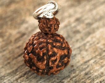 Simple Double Rudraksha Charm - Crown Chakra | Chakra Charm | Crystals | Yoga Crystal Charms