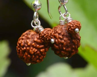 Double Rudraksha Earring with Sterling Silver Earwires - Crown Chakra - Connect to Shiva and Source