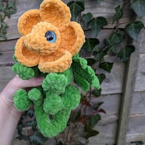 Pode incluir: Um brinquedo de pelúcia em forma de flor feito de crochê com um caule e folhas verdes. A flor é laranja com um olho azul. O brinquedo se chama "Bliss the Buttercup" e faz parte da "Botanical Beasts Crochet Pattern Collection" feita por "CraftedForComfort".