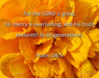 Magnified! VBS KJV Bible Verse Posters