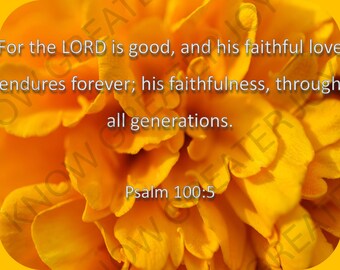 Magnified! VBS Bible Verse Posters