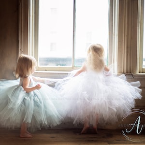 Toddler Tulle Dress, Flower Girl Dress, Bridal White Tutu Dresses, Baby Princess Dress, Toddler Dresses, White Tulle Flower Girl Dress