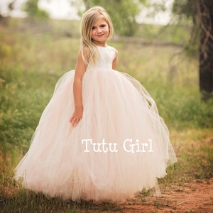 Blush and burgundy flower girl dress hotsell