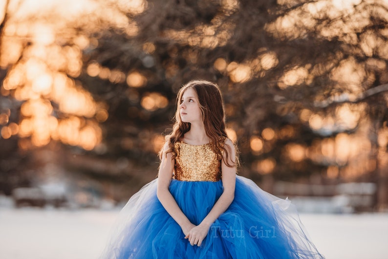 Abito da ragazza di fiori blu, abito tutu pervinca e oro, abito da ragazza di fiori in tulle, paillettes oro e gonna tutu dimensioni e colori personalizzati Periwinkle (shown)