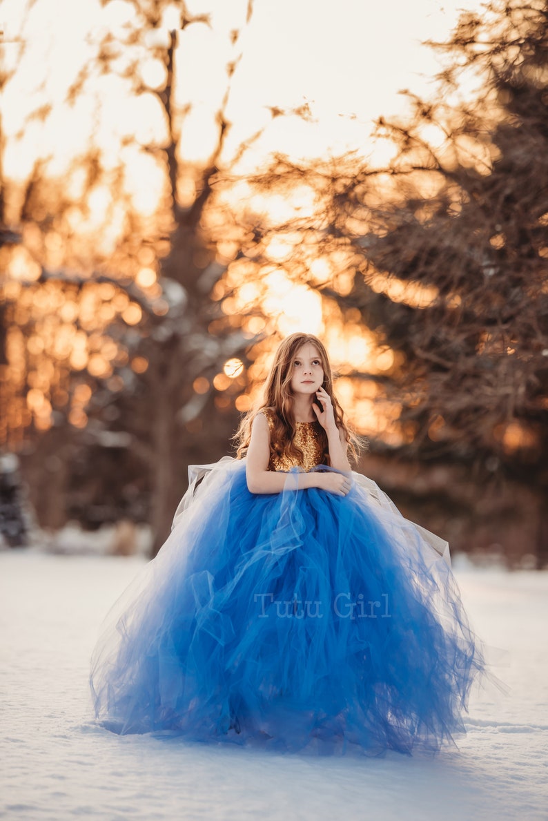 Abito da ragazza di fiori blu, abito tutu pervinca e oro, abito da ragazza di fiori in tulle, paillettes oro e gonna tutu dimensioni e colori personalizzati immagine 8