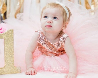 Pink Baby First Birthday Dress, Tulle Flower Girl Dress, Girls 1st Birthday Dress, First Year Baby Girl Tutu Dress, Blush Baby Dress