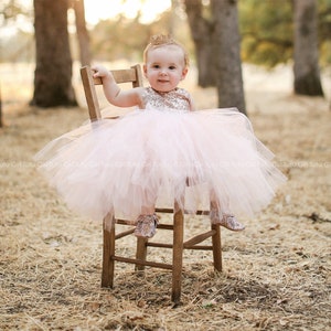 May include: A young child wearing a pink tulle dress with gold sequins and a gold crown. The child is sitting on a wooden chair in a field of dry grass.
