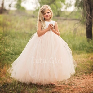 Blush Flower Girl Dress, Ivory Tulle Tutu Dresses, Baby Princess Dress, Toddler Dresses, White Tulle Flower Girl Dress, Weddings
