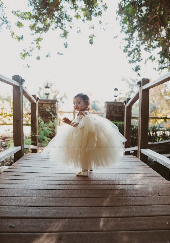 Classic Satin and Tulle Flower Girl Dress Champagne, Birthday Dress for Girls