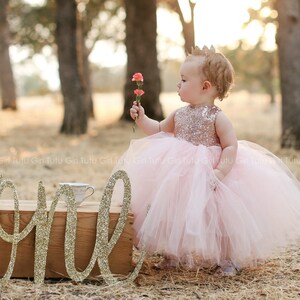 May include: A young girl wearing a pink tulle dress with gold sequins and a gold crown holds a pink flower. The word "one" is spelled out in gold glitter letters on a wooden surface.