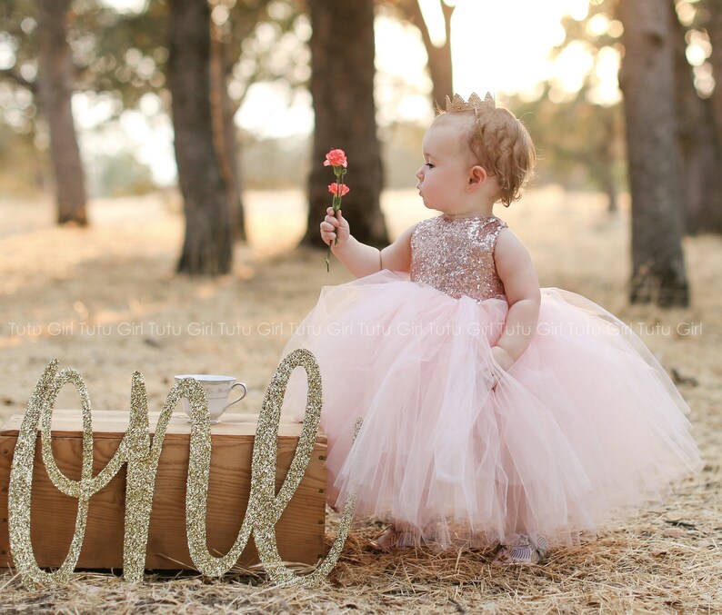 May include: A young girl wearing a pink tulle dress with gold sequins and a gold crown holds a pink flower. The word "one" is spelled out in gold glitter letters on a wooden surface.