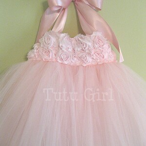 Pu&ograve; includere: Un abito tutu di tulle rosa con un fiocco di raso rosa e uno strato di rose di tessuto rosa intorno al corpetto. L'abito ha il testo "Tutu Girl" stampato sulla gonna.