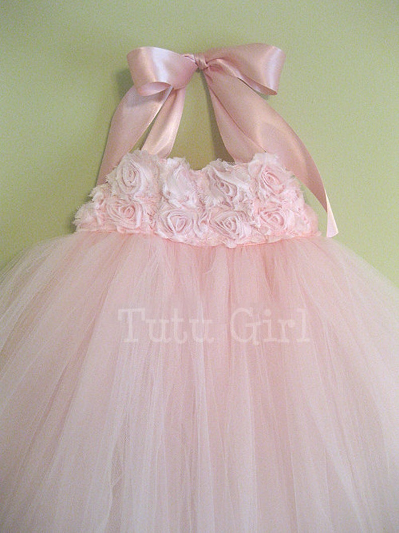 Pu&ograve; includere: Un abito tutu di tulle rosa con un fiocco di raso rosa e uno strato di rose di tessuto rosa intorno al corpetto. L'abito ha il testo "Tutu Girl" stampato sulla gonna.