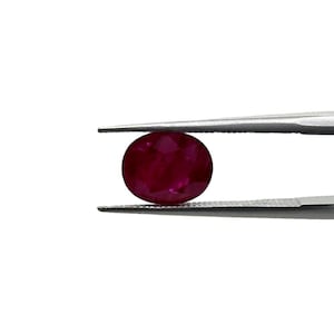 Peut inclure: Un rubis ovale et facetté, de couleur rouge foncé, maintenu par une pince argentée. Le rubis présente des inclusions internes. La pince est positionnée sur un fond blanc uni, mettant en valeur la pierre précieuse.