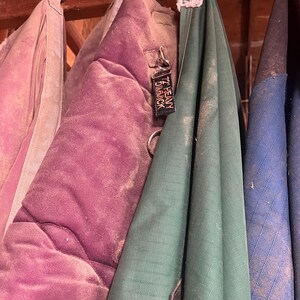 May include: Three horse blankets hanging on hooks. The blankets are green, purple, and blue. The green blanket has a tag that reads '12' Heavy D-Ring Shack.'
