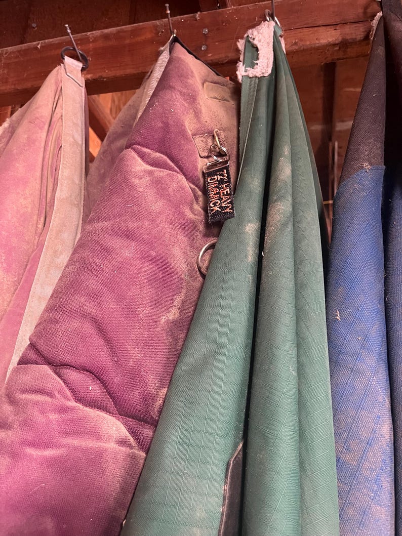 May include: Three horse blankets hanging on hooks. The blankets are green, purple, and blue. The green blanket has a tag that reads '12' Heavy D-Ring Shack.'