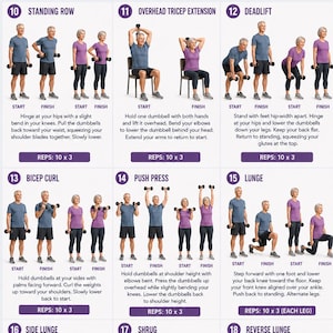 May include: An instructional poster titled Senior Dumbbell Workout 60+ featuring illustrations of people performing nine exercises: standing row, overhead tricep extension, deadlift, bicep curl, push press, lunge, side lunge, shrug, and reverse lunge.
