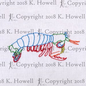 Mantis Shrimp Hand Embroidery Pattern, Mantis Shrimp, Mantis, Shrimp, Ocean, Sea, Aquatic, Crustacean, Rainbow, Bright, Strongest, PDF