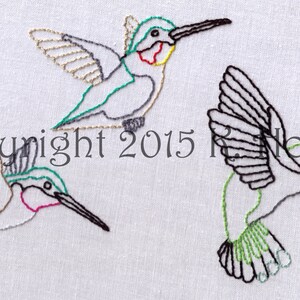 Hummingbird Hand Embroidery Pattern, Three Hummingbirds, Hummingbird, Flight, Flying, Bird, Wings, Colorful, Variety, Digital Download, PDF