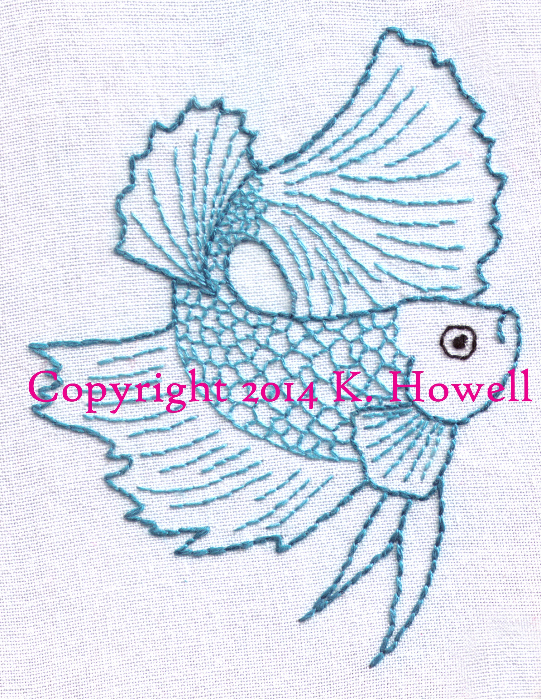 betta fish fighting ring
