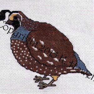 Quail Cross Stitch Pattern, Bird, Avian, Audubon, Animal, California, Wildlife, cross-stitch, diagram, pattern, PDF image 1