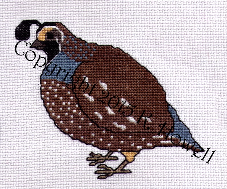 Quail Cross Stitch Pattern, Bird, Avian, Audubon, Animal, California, Wildlife, cross-stitch, diagram, pattern, PDF image 1