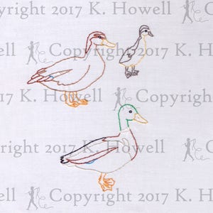 Duck Hand Embroidery Pattern, Animal, Ducks, Family, Mallard, Avian, Bird, Standing, Nest, Mating, Flight, Migration, Wing, Beak, PDF