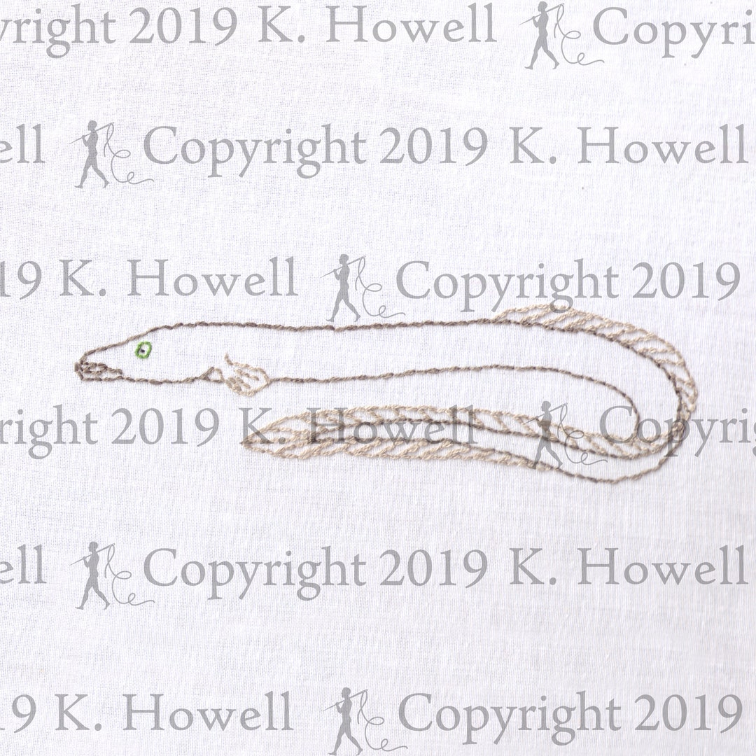 Eel Hand Embroidery Pattern, Eel, Fish, Underwater, Diver, Marine ...
