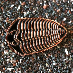 Trilobite (Calymene) - Wisconsin State Fossil - Black & Rose Gold Soft Enamel Pin - LIMITED EDITION