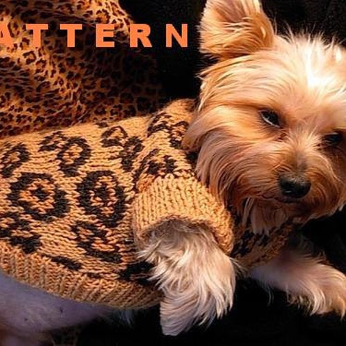 SEXY BEAST Dog Sweater Knitting Pattern - LEOPARD