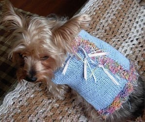 PARTY ANIMAL Dog Sweater Knitting Pattern | Etsy