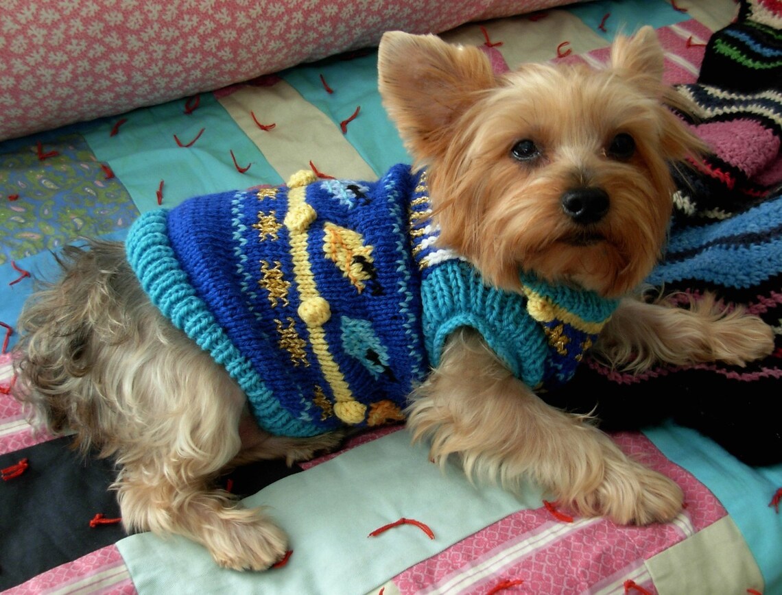 O HANUKKAH Dog Sweater Knitting Pattern Jewish Holiday Etsy