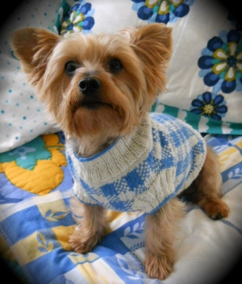 SUNDAY PICNIC Gingham Check Dog Sweater Knitting Pattern Etsy