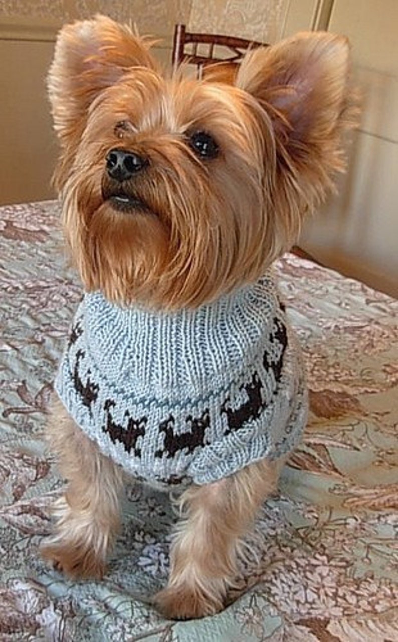 PUPPIES ON PARADE Fair Isle Dog Sweater Knitting Pattern Etsy