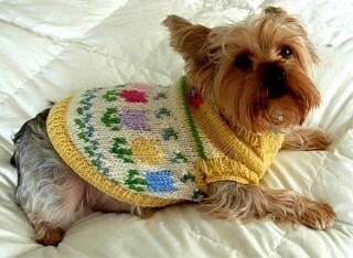 FIDO'S FLOWER GARDEN Embroidered Fair Isle Dog Sweater | Etsy