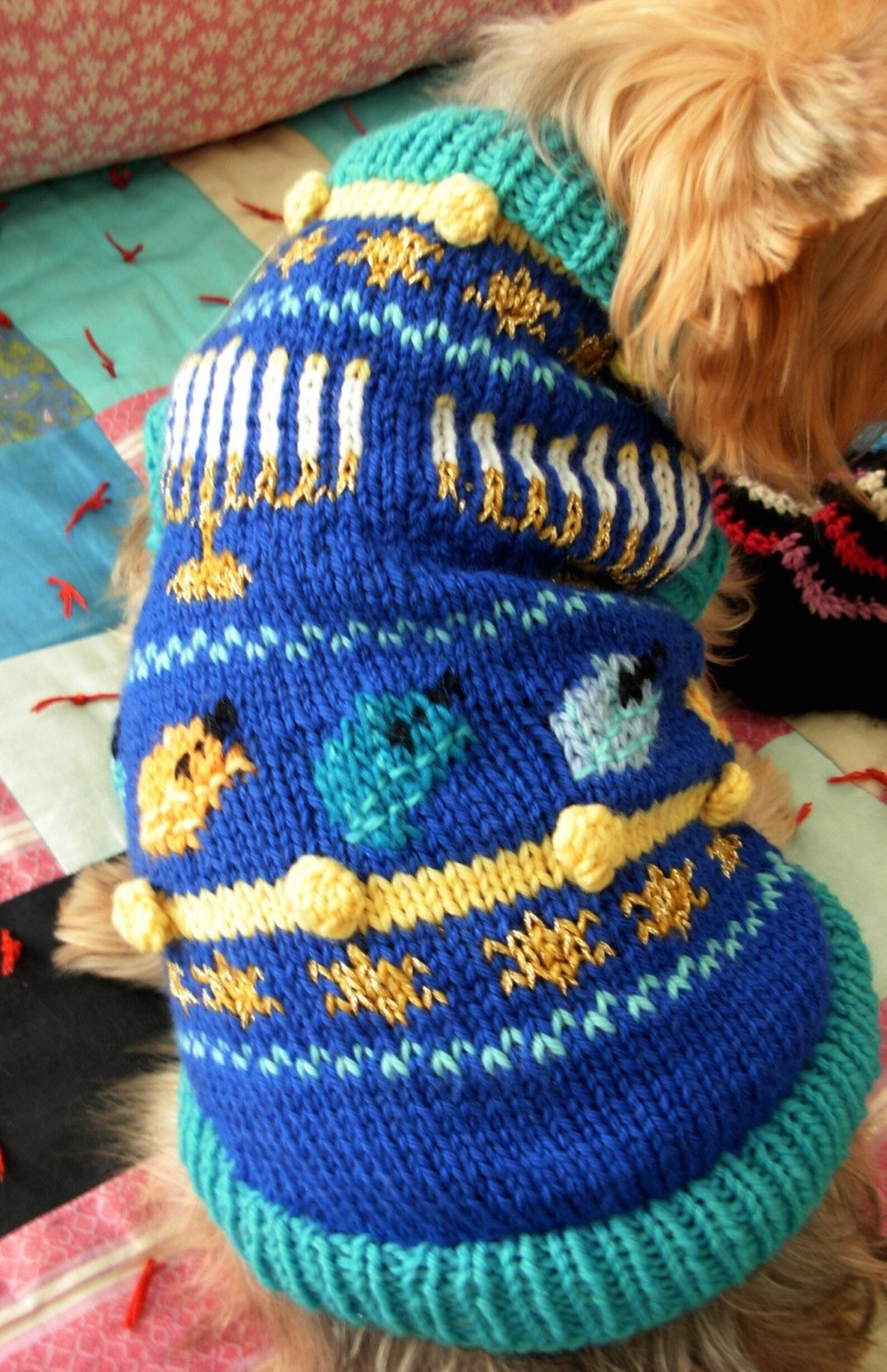 O HANUKKAH Dog Sweater Knitting Pattern Jewish Holiday Etsy