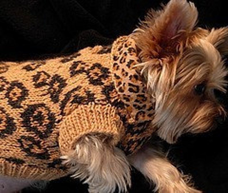 SEXY BEAST Dog Sweater Knitting Pattern LEOPARD Etsy