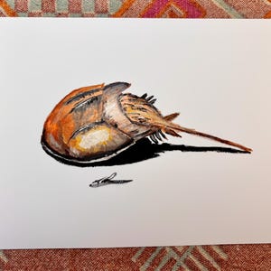 Horseshoe Crab Painting Art Print