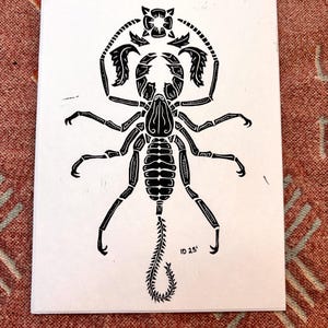 Vinegaroon Arachnid Linocut Print
