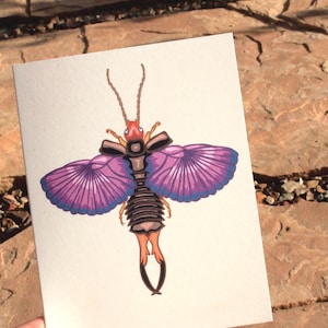 Cartão de felicitações Earwig in Flight