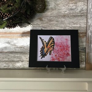 Butterfly Art, Butterfly Wall Art, Butterfly Lover, Monarch Butterfly, Pink Flower Art, Gardener Gift, Phlox Flower, Garden Wall Art, image 3