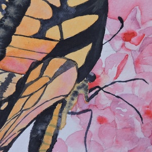 Butterfly Art, Butterfly Wall Art, Butterfly Lover, Monarch Butterfly, Pink Flower Art, Gardener Gift, Phlox Flower, Garden Wall Art, image 4