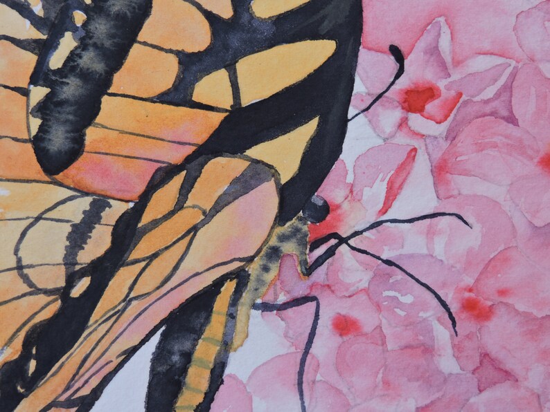 Butterfly Art, Butterfly Wall Art, Butterfly Lover, Monarch Butterfly, Pink Flower Art, Gardener Gift, Phlox Flower, Garden Wall Art, image 4