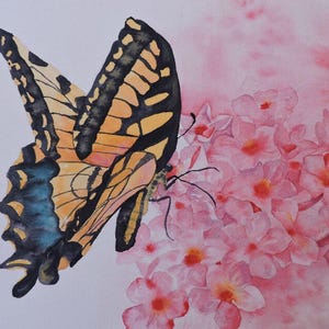 Butterfly Art, Butterfly Wall Art, Butterfly Lover, Monarch Butterfly, Pink Flower Art, Gardener Gift, Phlox Flower, Garden Wall Art, image 1