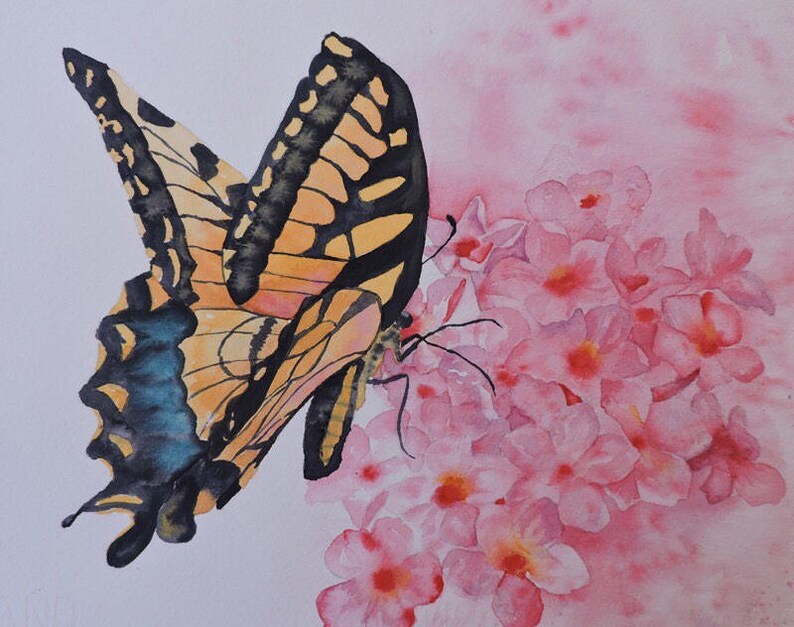 Butterfly Art, Butterfly Wall Art, Butterfly Lover, Monarch Butterfly, Pink Flower Art, Gardener Gift, Phlox Flower, Garden Wall Art, image 1