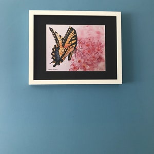 Butterfly Art, Butterfly Wall Art, Butterfly Lover, Monarch Butterfly, Pink Flower Art, Gardener Gift, Phlox Flower, Garden Wall Art, image 8