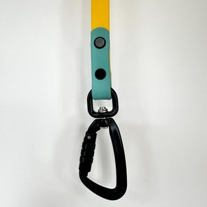Clip per guinzaglio aggiuntiva: moschettone, clip a rana, gancio girevole - Guinzagli per cani BioThane